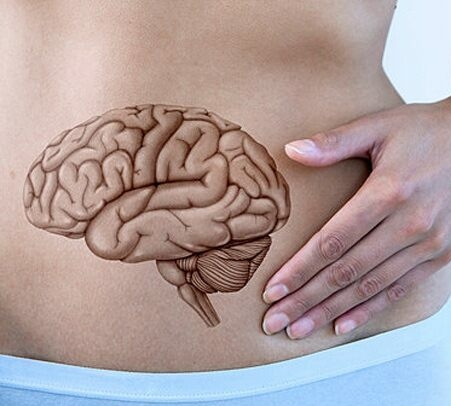 The Brain-Gut Connection