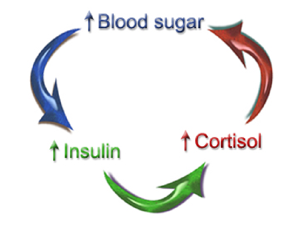 How Are Blood Sugar And Adrenal Function Interconnected?