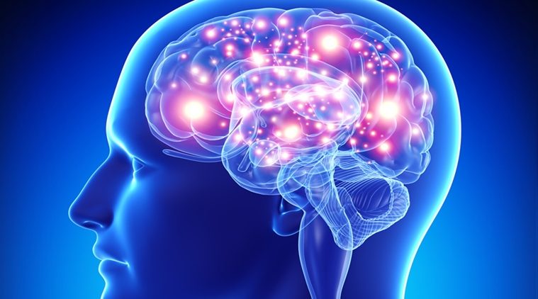 How Can Cortisol Affect Brain Function?